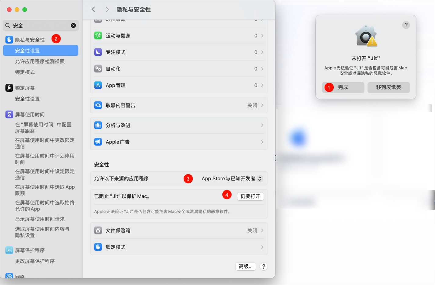Apple Security Validation Issue